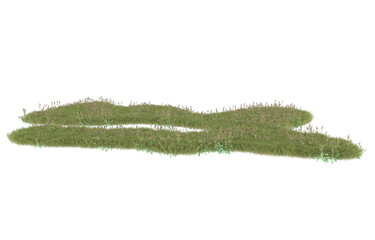 Grass on transparent background. 3d rendering - illustration