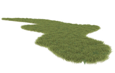 Grass on transparent background. 3d rendering - illustration