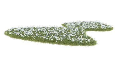 Grass on transparent background. 3d rendering - illustration