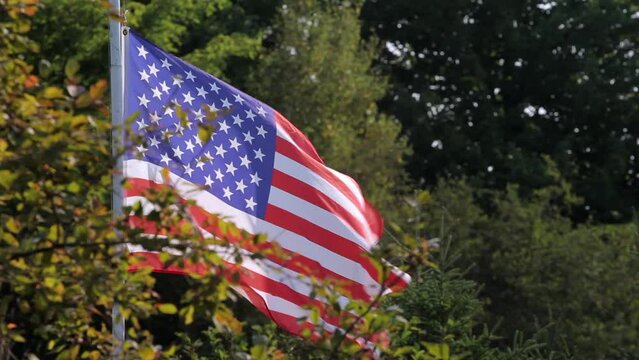 Footage of the American flag in foliage on a windy day