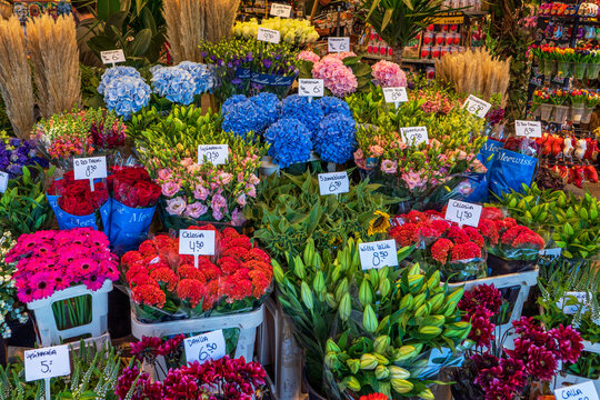 Flower shop, Amsterdam, Holland