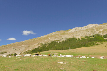 Fototapeta na wymiar Parco Nazionale Gran Sasso, panorami