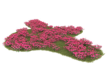 Grass on transparent background. 3d rendering - illustration