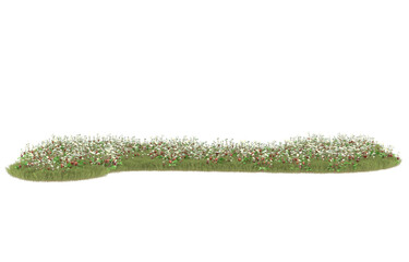 Fototapeta premium Grass on transparent background. 3d rendering - illustration