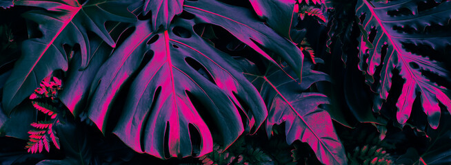 Tropical leaves, dark forest background, neon color toned