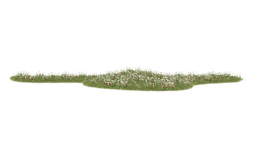Grass on transparent background. 3d rendering - illustration