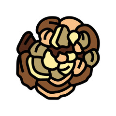 turkey tail mushroom color icon vector. turkey tail mushroom sign. isolated symbol illustration