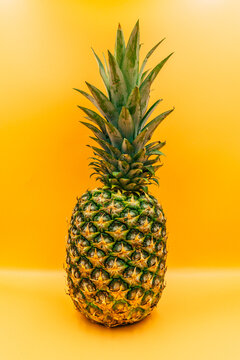 nice fresh ripe pineapple detail on orange background