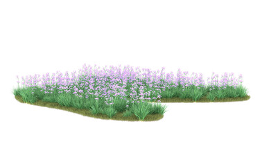 Grass on transparent background. 3d rendering - illustration