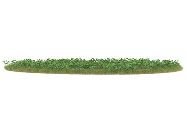 Grass on transparent background. 3d rendering - illustration