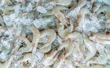 Fresh white shrimps on crushed ice for sale in market. Raw prawns for cooking in seafood...