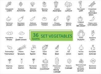 Vegetables icon set. Signature in Russian 36 icons set of vegetables. Simple concise images of vegetables with names in Russian and English. Collection of icons in outlines. Vegetarianism. Vector, eps