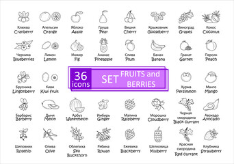 Fruits and berries icons set. Simple concise images 36 of fruits and berries with names in Russian and English. Collection of icons in outlines. Vector, eps