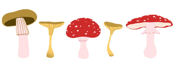 Collection of colorful mushrooms seamless