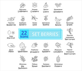 Berries icon set. Simple concise images of berries with names in Russian and English. Collection of icons in outlines. Vegetarianism. Vector, eps