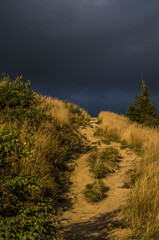 Panorama z połoniny Caryńskiej - Bieszczady 