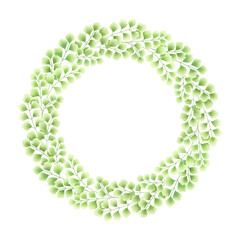 Circular frame of botanical illustration. 
