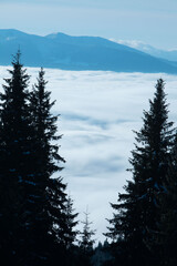 landscape view of winter carpathian mountains
