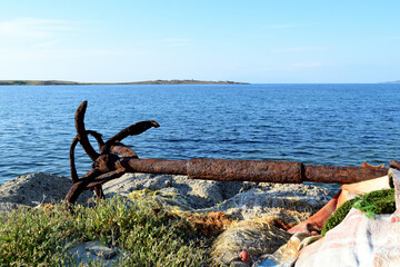 nets on the shore