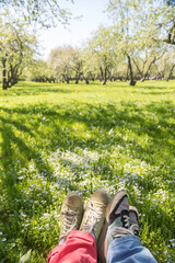 feet of resting people on a green grass lawn in an apple orchard. Landscape on a beautiful flowering garden. two people look at nature. The concept of recreation in the park area