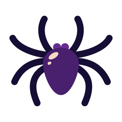 Simple illustration of a spider on a white background