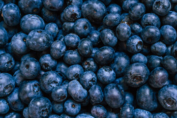 a pile of ripe fresh blueberries