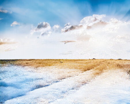 beautiful frozen fields.