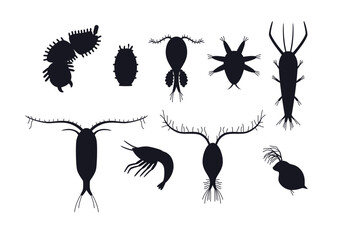 Zooplankton black silhouettes set, flat vector illustration isolated on white background. - obrazy, fototapety, plakaty