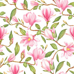 Watercolor illustration of a with flowers pink Magnolias. Pattern on isolated white background for your design, wrapping paper etc