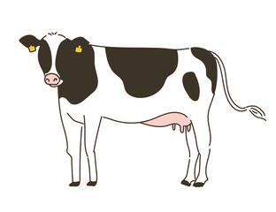 動物　畜産　乳牛