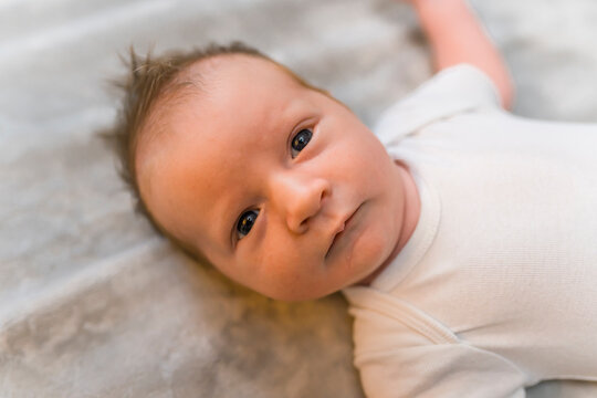 Adorable dark-haired newborn baby boy looking intensely at camera with his dark eyes. Child's curiosity. Closeup indoor portrait. High quality photo