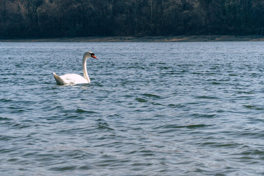 Iver Bilder Durchsuchen 1,143 Archivfotos, und Videos