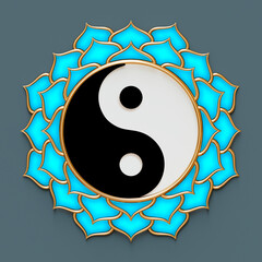 Illustration of a yin and yang symbol in a light blue lotus flower