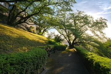 東京都多摩市 聖蹟桜ヶ丘、夕暮れの桜ヶ丘1丁目緑地