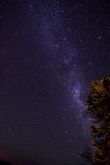via lactea