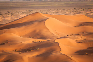 Wüste Sahara - obrazy, fototapety, plakaty