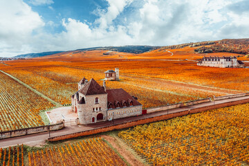 Castle and vineyards in Burgundy, aerial view in autumn. France - 531712123