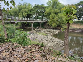 Fototapeta na wymiar bridge over the river in countryside
