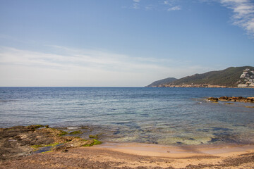 Small hidden beach with pine trees at Santa Eulalia del Rio, Ibiza island, Balearic islands, Spain
