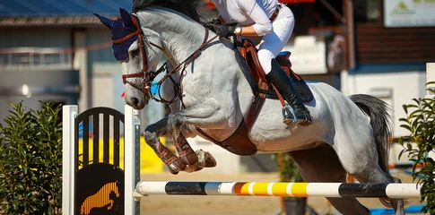 Foto op Canvas Horse jumping horse white gray with rider over the obstacle, close-up of the horse with rider in the lead.. © RD-Fotografie