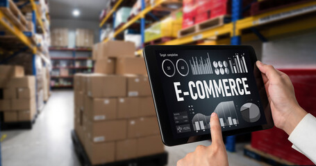 E-commerce data software provide modish dashboard for sale analysis to the online retail business