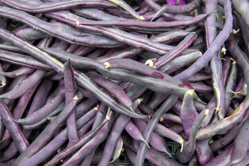 pile of fresh purple beans photographed from above