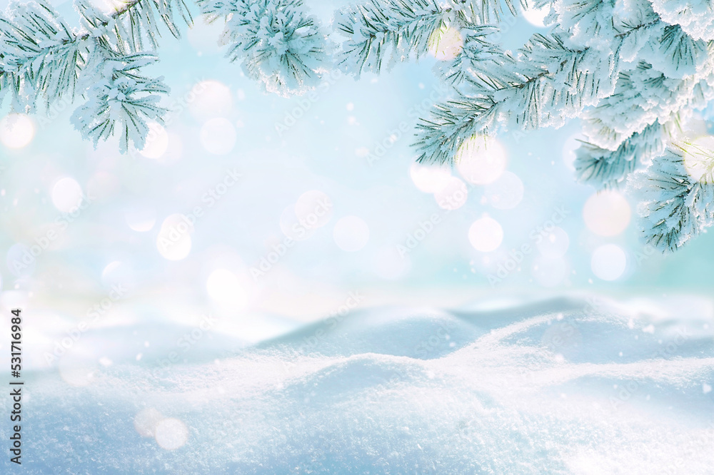 Poster Beautiful winter background image of frosted spruce branches and small drifts of pure snow with bokeh Christmas lights and space for text.