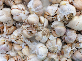 close up of garlic