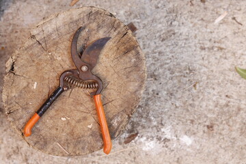 pruning shears