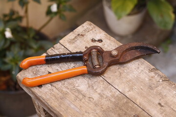 pruning shears
