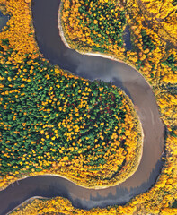 Aerial photography of landscape in Western Siberia. Agan River. Autumn landscape. Bird's eye view.