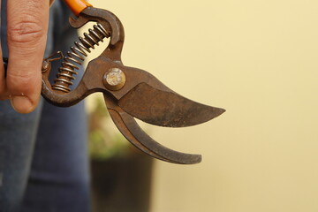 pruning shears