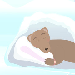 Sleeping brown bear in winter