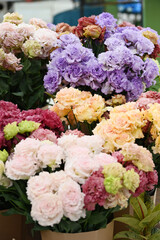 Lysianthus russellianum flowers is a mixed bouquet